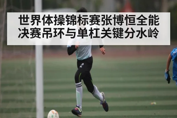 世界体操锦标赛张博恒全能决赛吊环与单杠关键分水岭